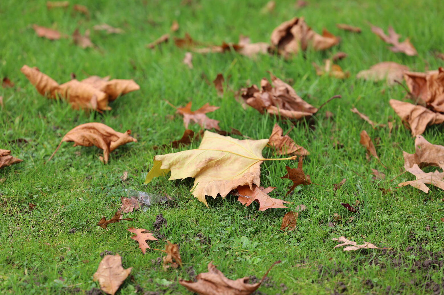 cropped-IMG_9273.jpg