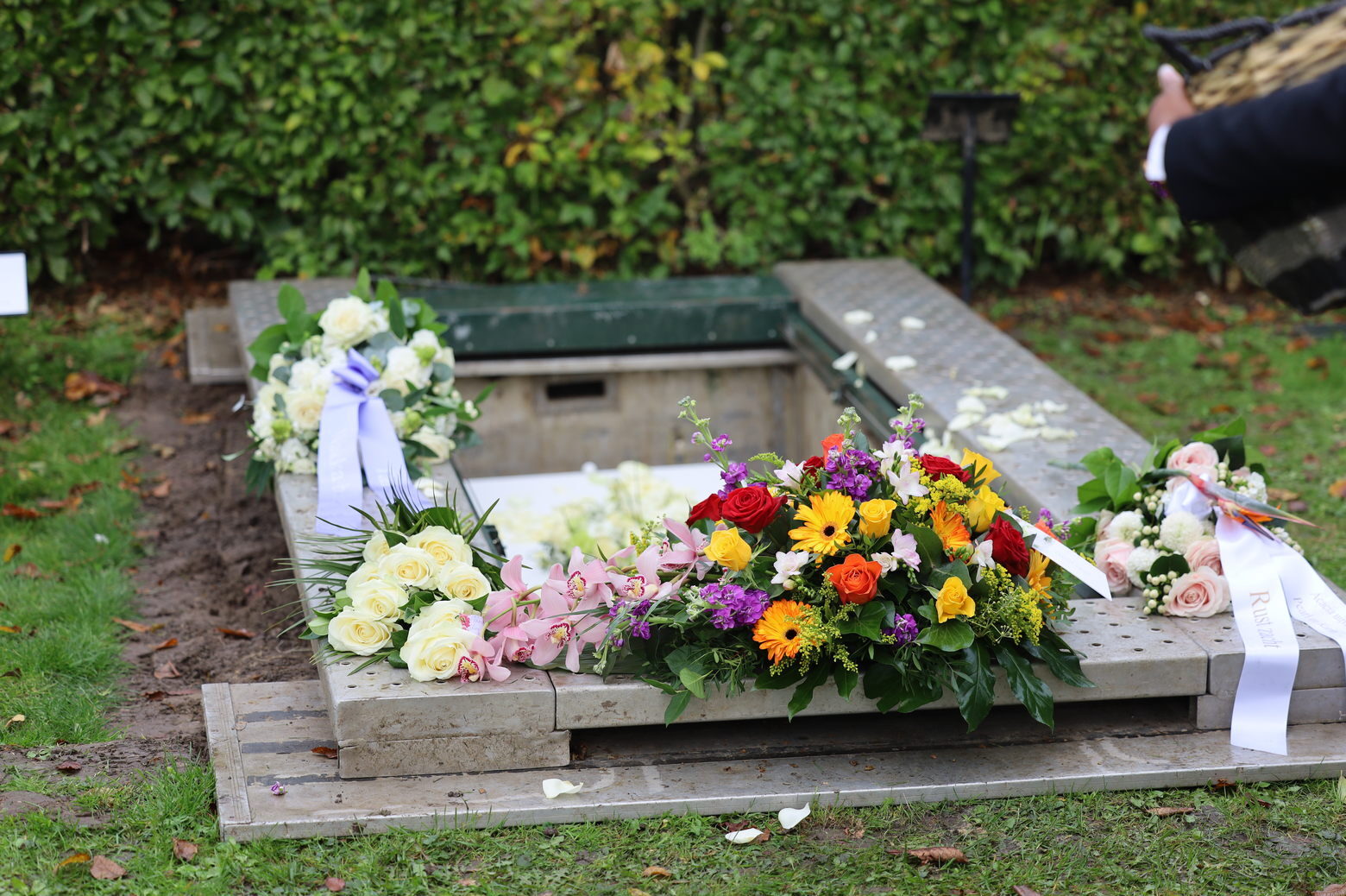 cropped-IMG_9933.jpg